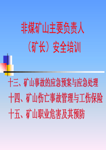 非煤矿山主要负责人安全教育部培训