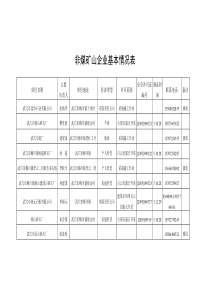 非煤矿山企业基本情况表