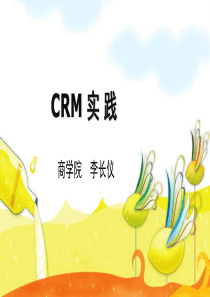 10CRM实践与绩效评估