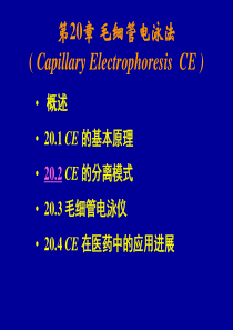 毛细管电泳