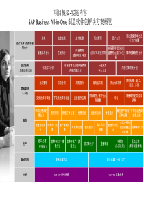 SAP Business All-in-One 制造软件包解决方案概览