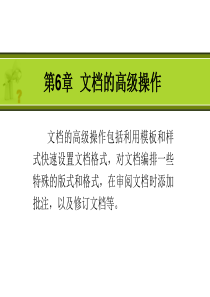 word文档的高级操作