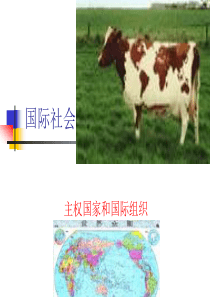 主权国家和国际组织.ppt