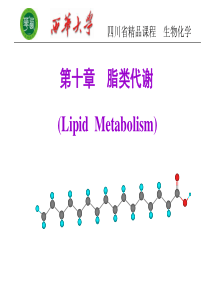 生物化学 第十 脂肪代谢