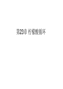 生物化学-23章 柠檬酸循环