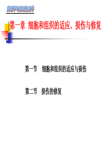 第一章 细胞和组织的适应、损伤与修复