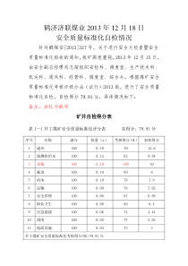 鹤济济联煤业XXXX年12月30日总安全质量标准化自检情况