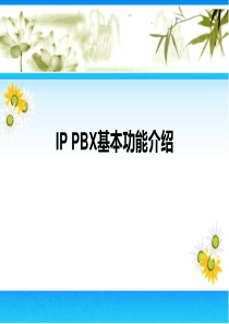 IP PBX功能及应用