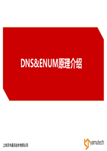 DNS and ENUM原理介绍