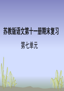 2016年苏教版六年级上册语文第七单元期末复习资料