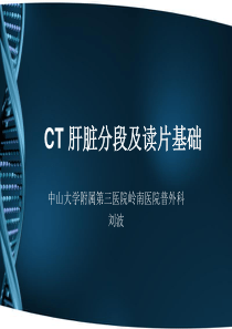 CT 肝脏分段及读片