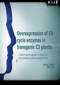 Overexpression of C4-cycle enzymes in transgenic C