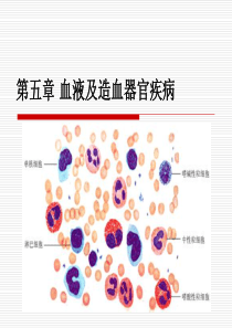 兽医外科手术学__第五章血液及造血器官疾病