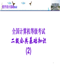 计算机二级考试公共基础知识(程序设计基础)资料