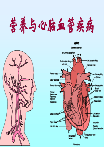 爱爱医资源-心脑血管疾病