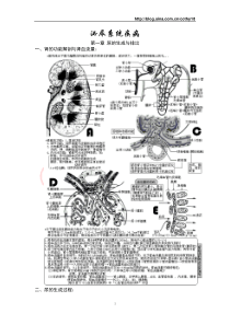 西医综合·泌尿系统疾病(生理+病理+内科+外科)