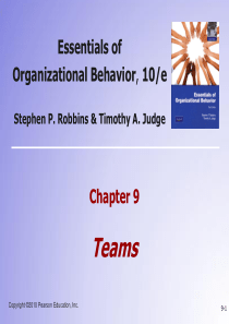 组织行为学精要第十版chapter9 understanding work team