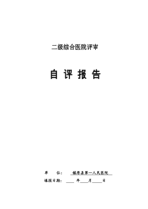 二级综合医院评审自评报告空表