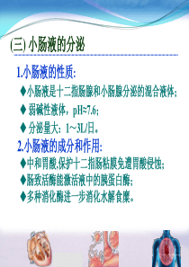 第六章  消化与吸收3