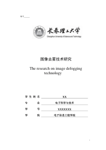 图像去雾技术研究..