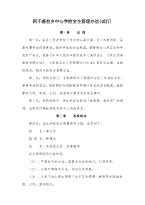 阿不都拉乡中心小学安全管理办法暨实施方案