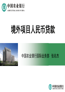 农业银行境外项目人民币贷款