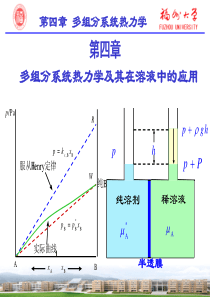 04多组分系统热力学及其在溶液中的应用