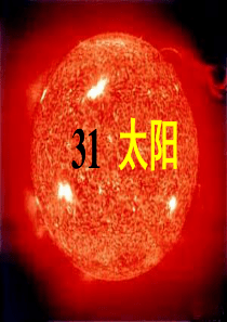 31太阳