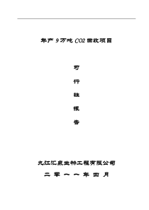 CO2回收项目的可行性报告