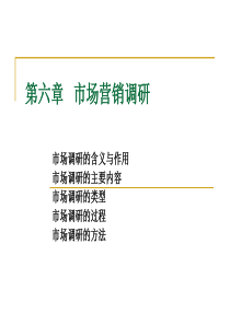 第六章市场营销调研与信息系统(精)