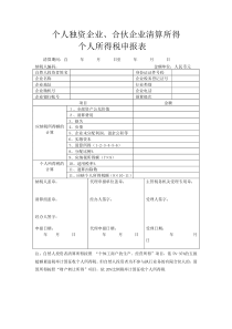 个人独资企业、合伙企业清算所得个人所得税申报表