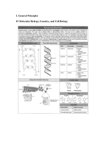 03 Molecular Biology-Genetics-Cell Biology【USMLE美国