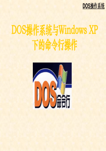 Dos操作系统与windowsXP下的命令操作