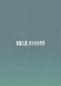 2016届高考生物一轮复习 能量之源 光与光合作用课件