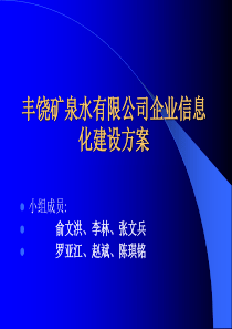 a5矿泉水有限公司企业信息化建设方案+