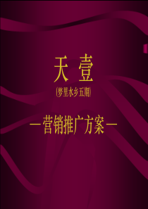 天丰行广告媒介代理公司关于天壹项目推广方案