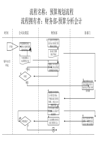 医药行业-预算规划流程