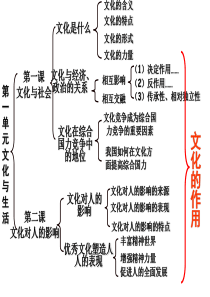 文化生活知识框架