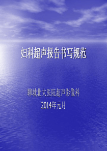 聊城北大医院妇科超声报告书写规范