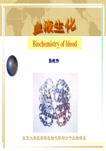 北大医学八年制课件—血液生化