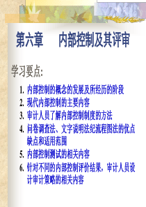 6内部控制及其评审
