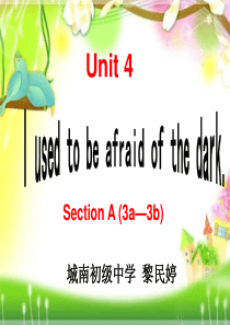 九年级Unit4 Section-A-(3a―3b)阅读课公开课