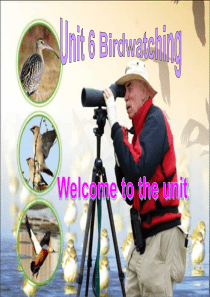 8A Unit6 Birdwatching Welcome to the unit