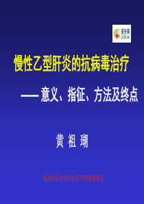 医学专家教学课件 (3)