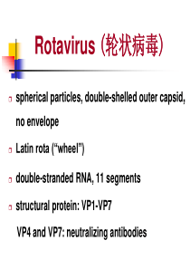 (人卫7版微生物)28急性胃肠炎病毒