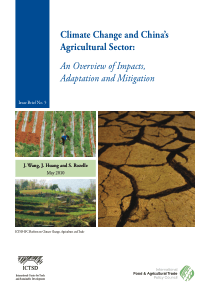 Climate Change and China Agricultural Sector