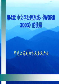 计算机办公自动化(第四章中文字处理系统WORD2003的使用)