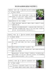 认识室内植物