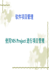 使用MS Project进行软件项目管理