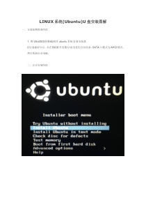 LINUX系统(Ubuntu)U盘安装到新的硬盘里图解